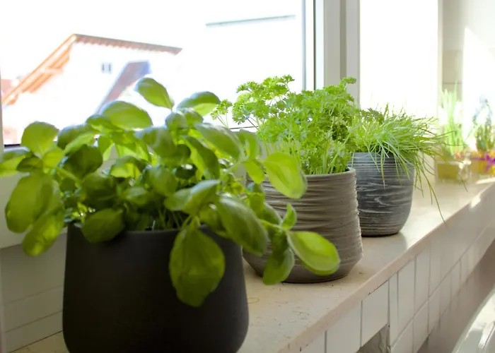 Lejlighed Bella Im Hegau - Mit Kostenfreien Parkplaetzen Und Wlan Volkertshausen