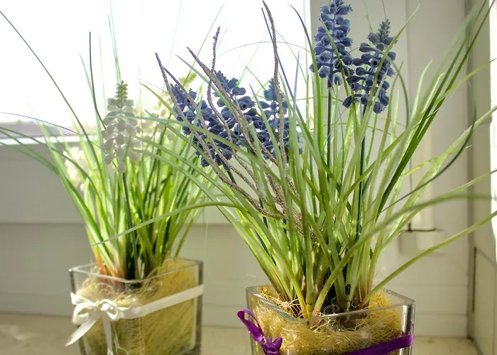 Bella Im Hegau - Mit Kostenfreien Parkplaetzen Und Wlan